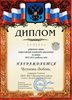 Чугунова РО химия 2012-2013